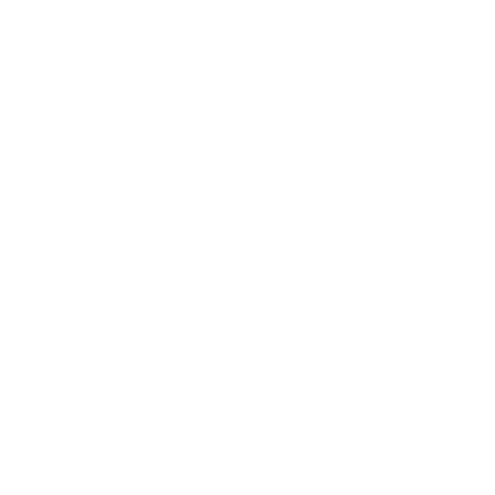 Logo Branco Meister Safe System